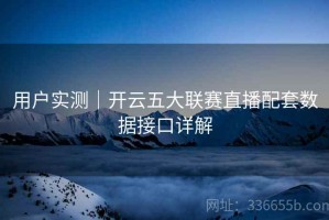 用户实测｜开云五大联赛直播配套数据接口详解