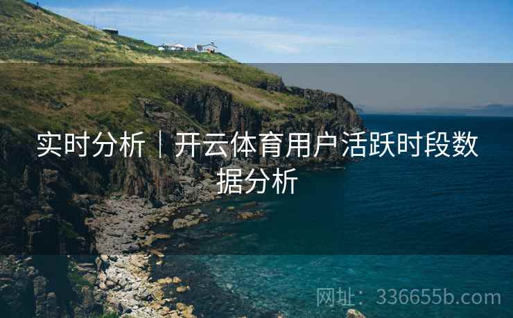实时分析｜开云体育用户活跃时段数据分析