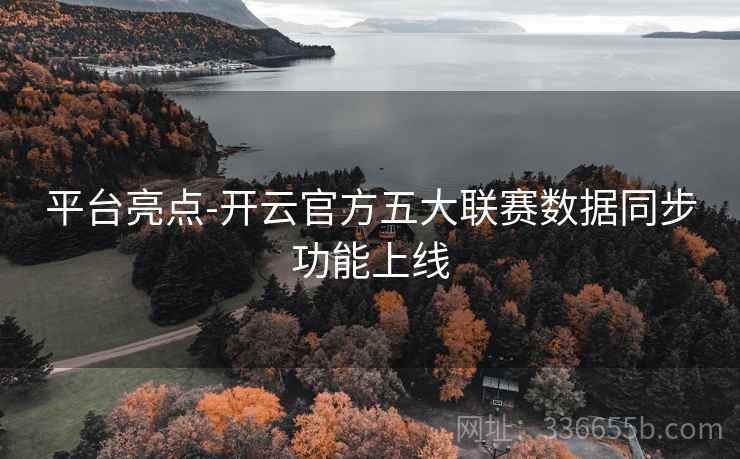 平台亮点-开云官方五大联赛数据同步功能上线