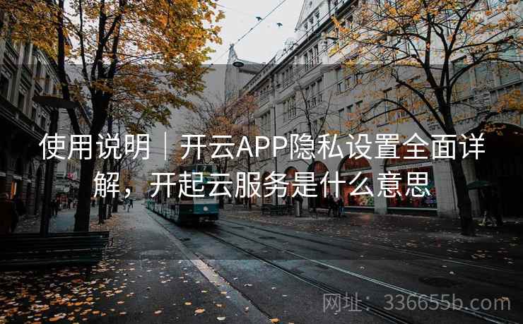 使用说明｜开云APP隐私设置全面详解，开起云服务是什么意思
