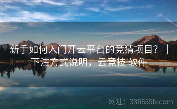 新手如何入门开云平台的竞猜项目？｜下注方式说明，云竞技 软件
